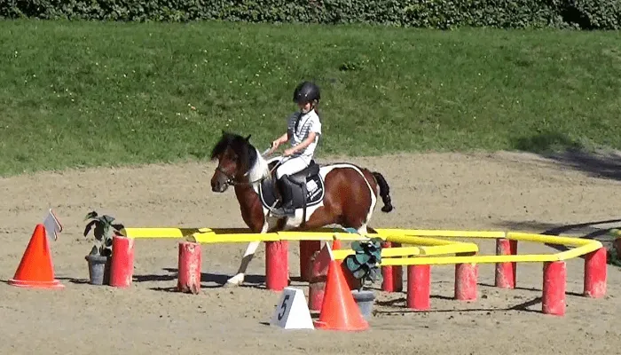 dispositif d'equifun