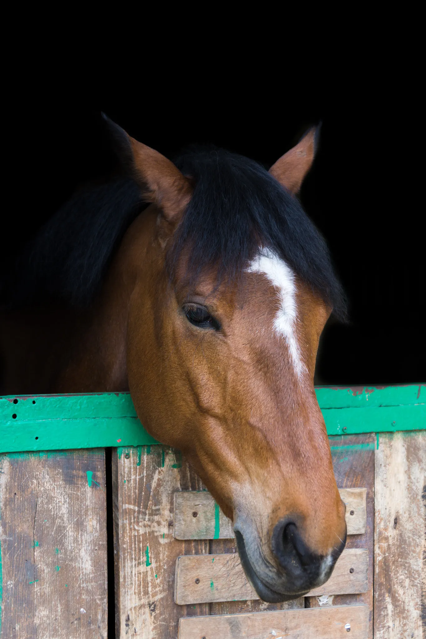 Dans une écurie, il est nécessaire de vérifier si plusieurs chevaux sont atteints