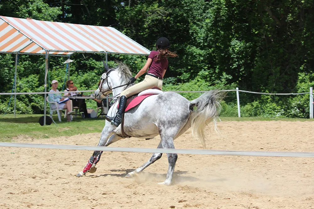 L'équilibre du cheval est une condition indispensable pour un galop de qualité. - © thisisamyt