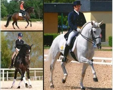 [Livre] : Dressage : construire et optimiser ses mises en selle