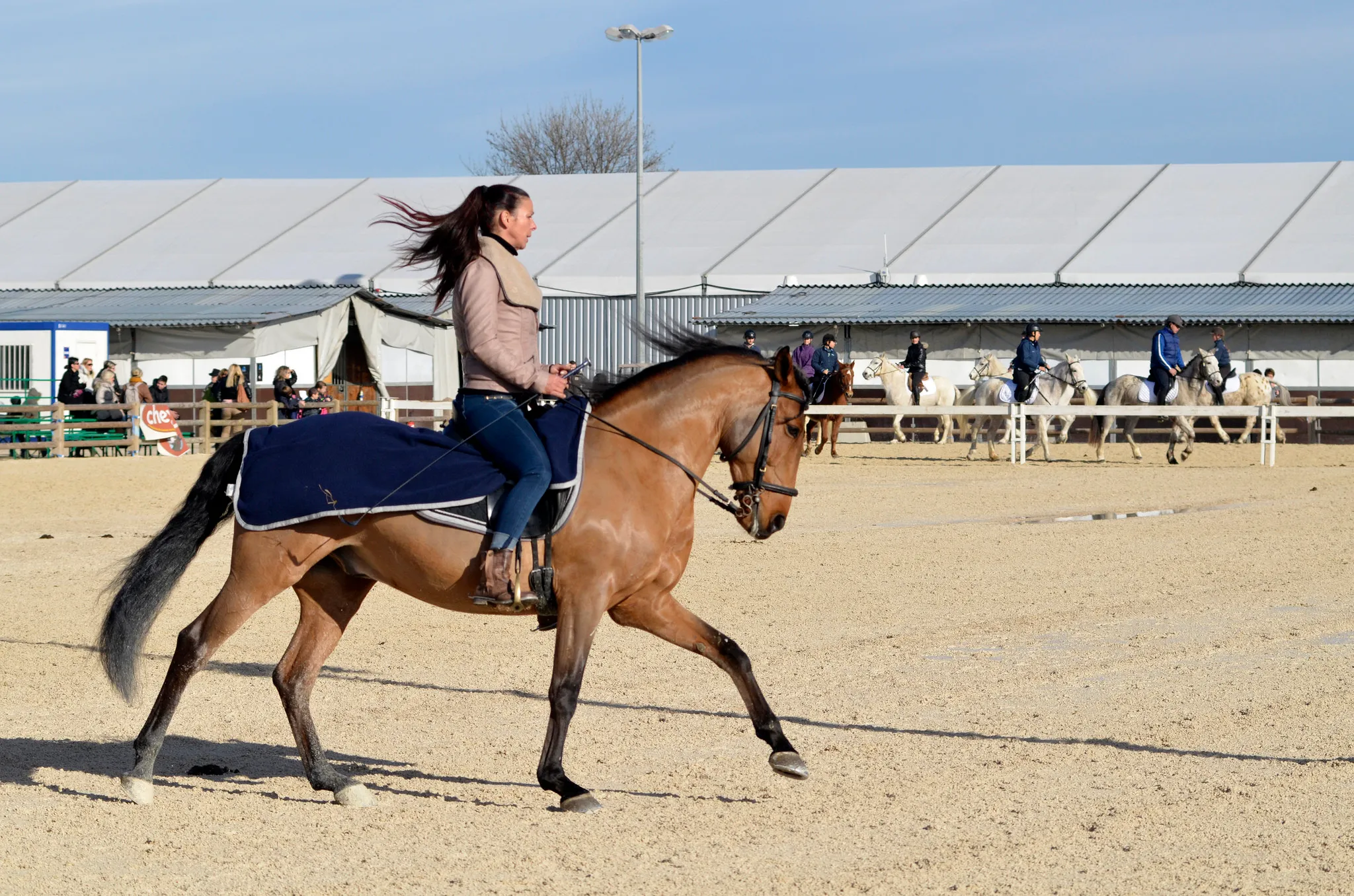 Un cheval au travai a des besoins de production plus importants