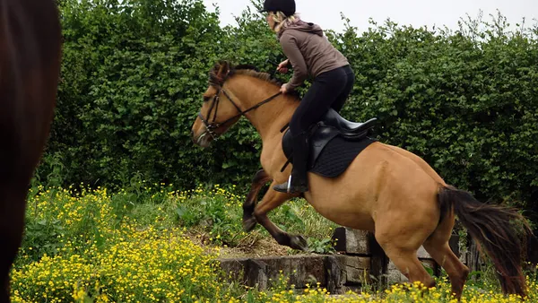 Cross : comment franchir un contre-haut ?