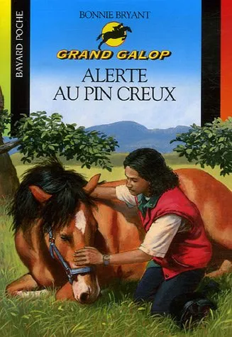 Avant d'être une série TV, Grand Galop a surtout été des livres pour enfants. - © Amazon