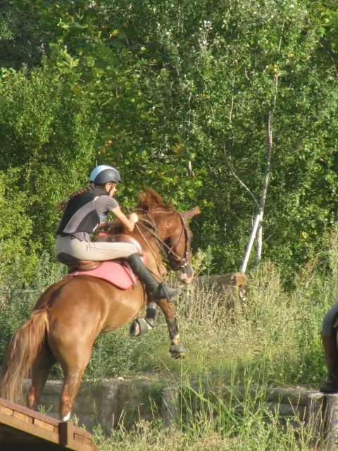 Le cheval d'école connaît son métier et pardonne les erreurs...