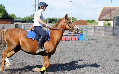 Cheval sur les épaules : 5 étapes pour retrouver l'équilibre