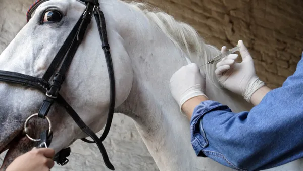 Vacciner son cheval : quand ? qui ? quoi ?
