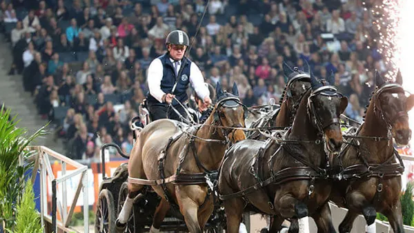 Boyd Exell, le roi de l'attelage