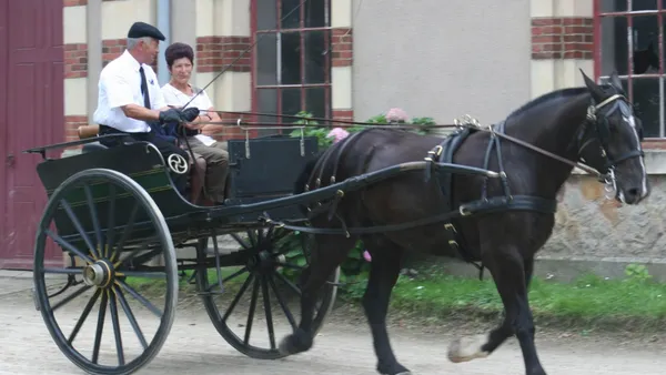 Le Cob Normand, un trait léger