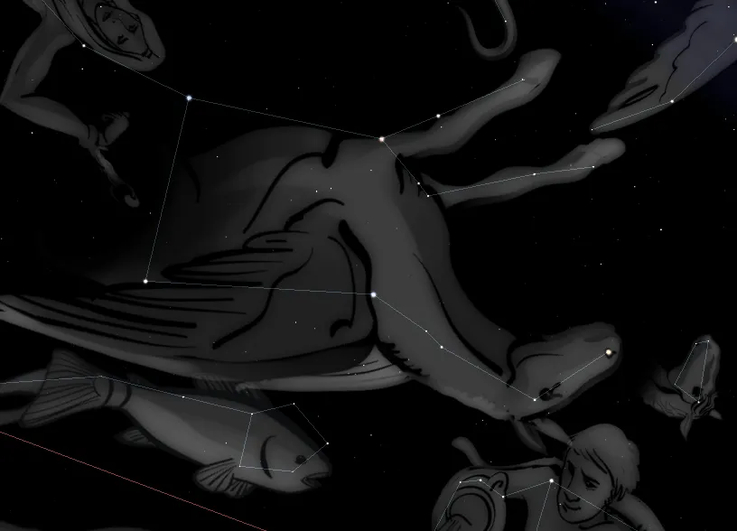 la-constellation-de-pegase.jpeg