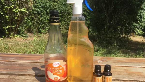 [DIY] Fabriquer son anti-mouches