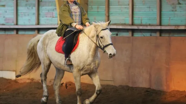 Le Galop 1
