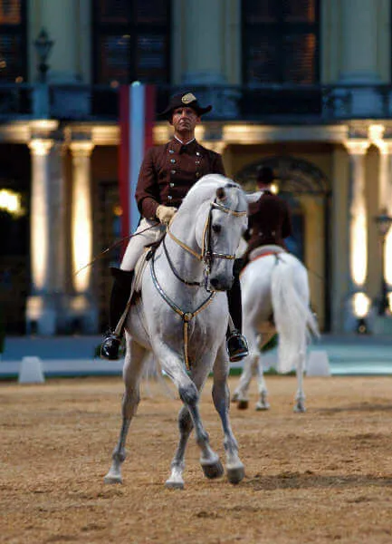 Ecuyer en chef de l'académie de Vienne