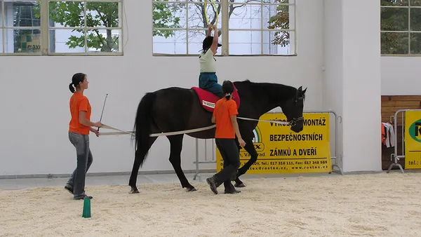 La psychothérapie assistée par le cheval