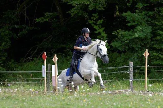 Emmanuelle et Poncho lors d'un TREC.