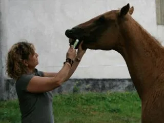 c) Unihorse 