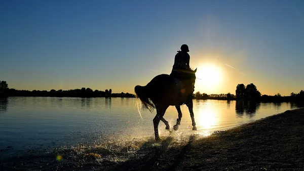 5 exercices pour muscler son cheval