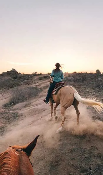 La balade est un excellent moyen de muscler un cheval en douceur