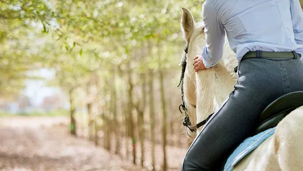 La balade : quels bienfaits pour les chevaux et leurs cavaliers ?