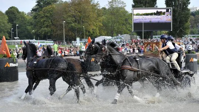 Boyd Exell sur le marathon des JEM 2014 à Caen avec sa team (Curios, Winston, Rambo, Capone)