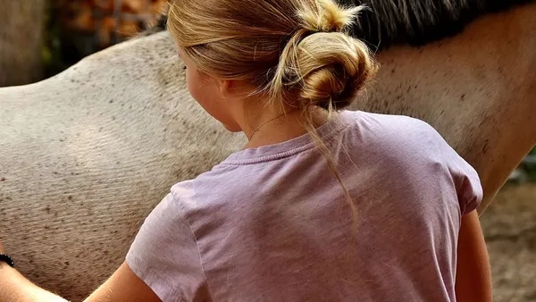 Le pansage : comment s’y prendre et comment savoir si notre cheval apprécie d'être brossé ?