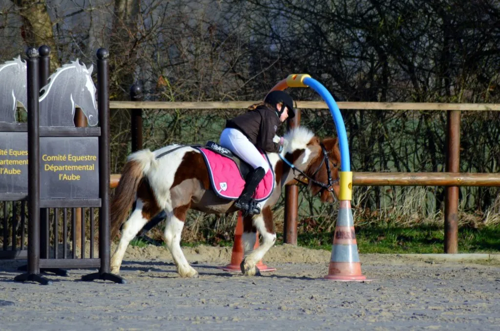 Exemple d'embûche rencontrée sur un parcours d'equifun