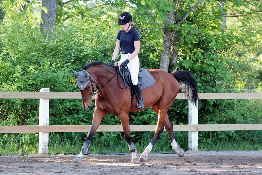 Cavalière au trot enlevé sur le bipède diagonal gauche