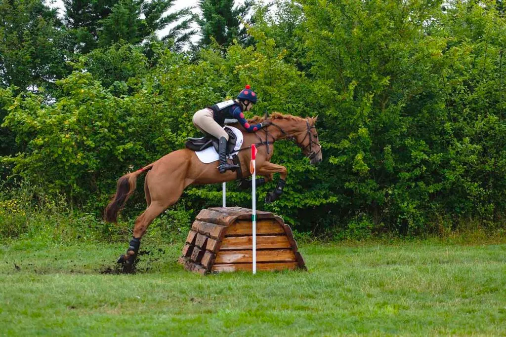 Au Galop 6, le cavalier doit être en mesure d'enchaîner un parcours de niveau club 2