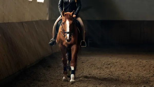 Mon cheval ne répond pas à la jambe... Que faire ?