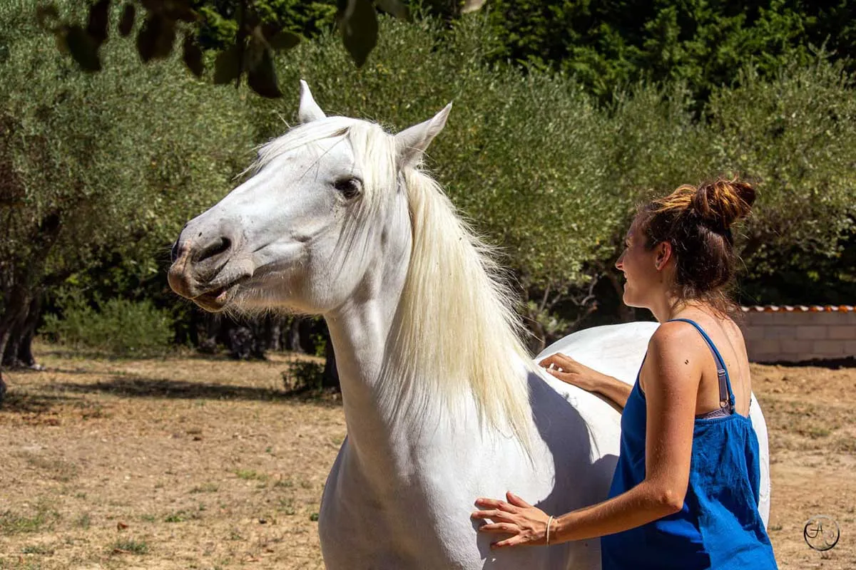 Les chevaux ont généralement une partie du corps sur laquelle ils aiment être grattés. Pour Bohème, c'est le garrot ! Merci à Johanna pour sa photo (crédit photo : Charlotte Arroyo)