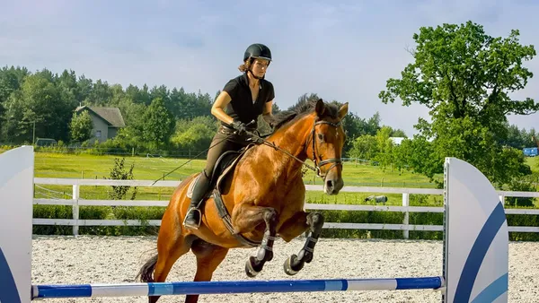 Cheval qui charge à l'obstacle : comment réagir ?