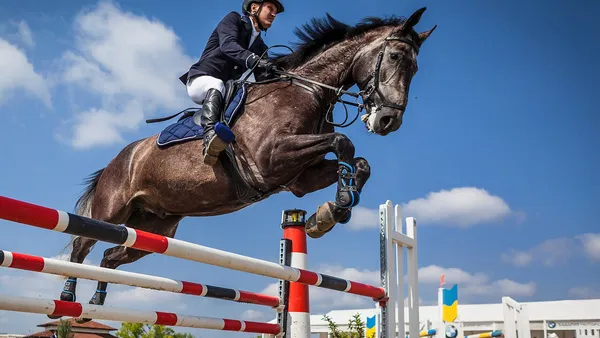 Saut d'obstacles : comment gérer un cheval qui charge les barres ?
