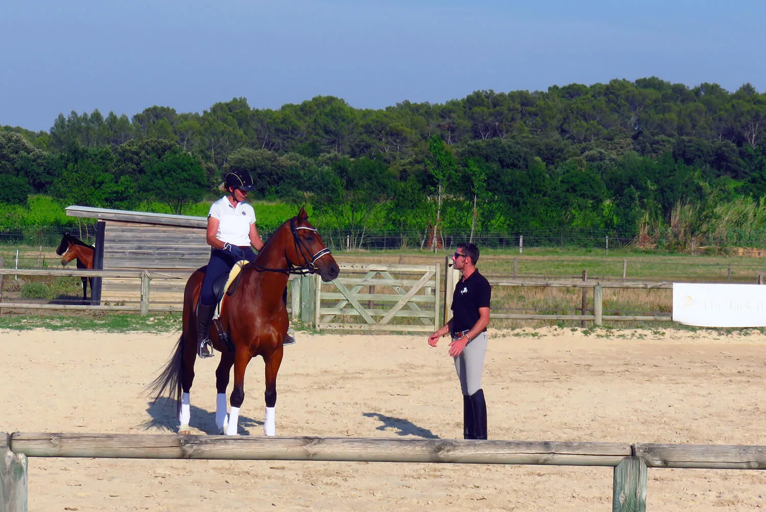 Cours de dressage avec Adrien Berne