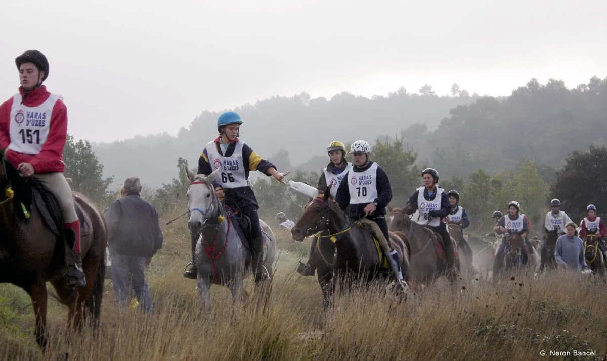 course d'endurance avec des chevaux ps arabe