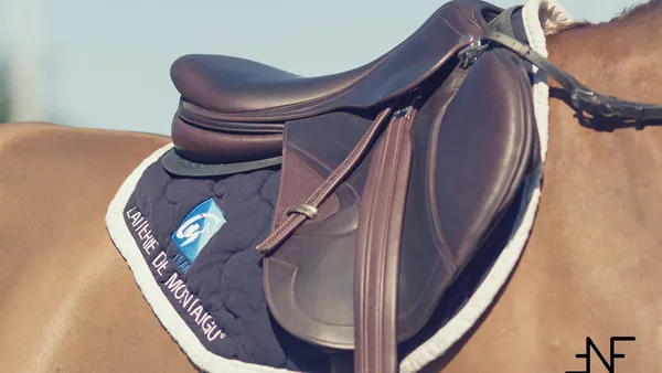 Acheter sa selle d'occasion, comment faire ?