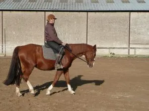 cavalier passant son Galop 1