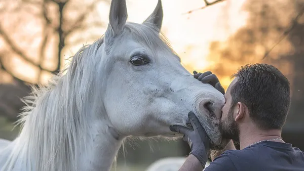 Prendre un cheval en demi-pension
