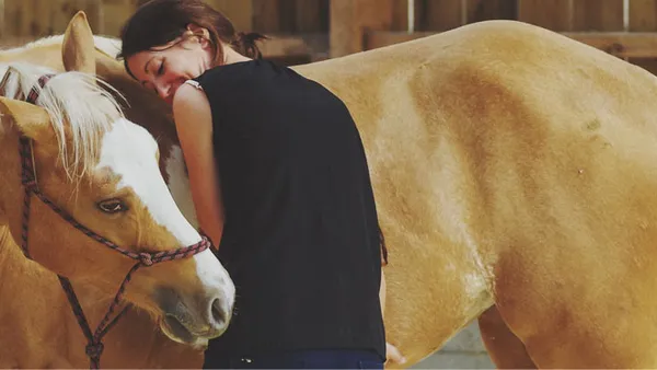 Développement personnel avec le cheval