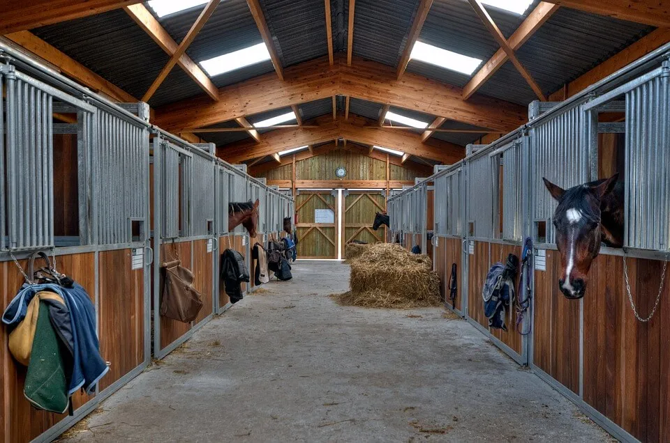 chevaux dans une écurie