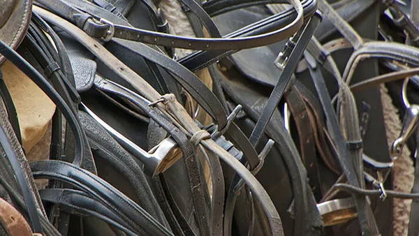 Comment bien entretenir son matériel d'équitation ?