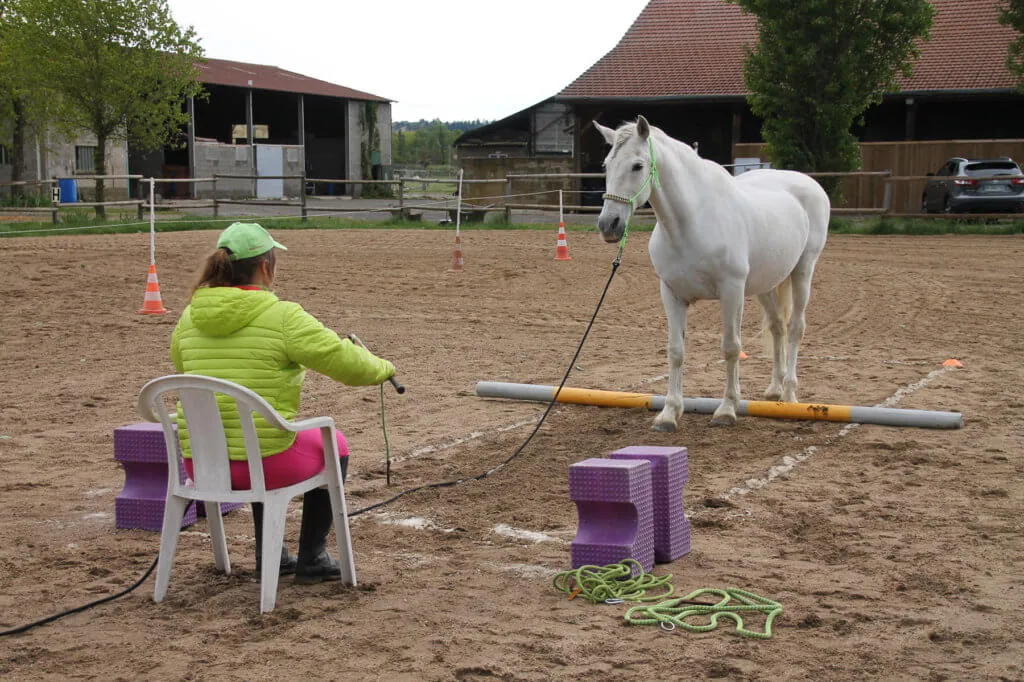 En Equifeel, le cavalier est à pied