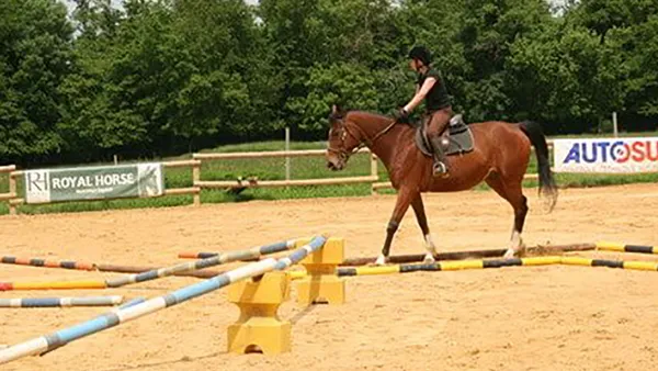 L'equifun : une discipline pédagogique et ludique pour tous