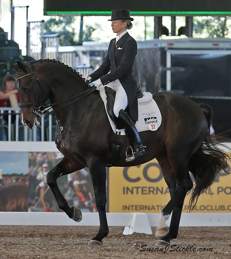 Rassembler votre cheval vous permettra de travailler l'équilibre vertical.