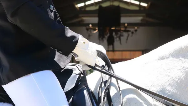 [Réflexion] L'équitation, un sport de riches ?