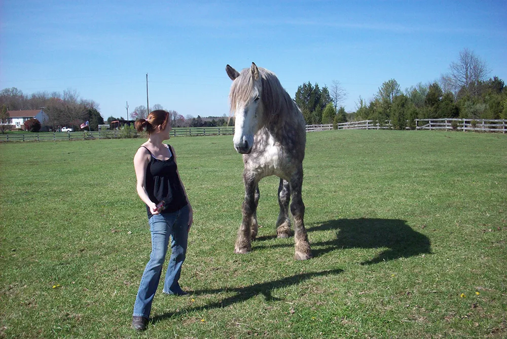 L'approche éthologique permet de mieux comprendre son cheval afin de créer une relation basée sur la confiance et le respect.