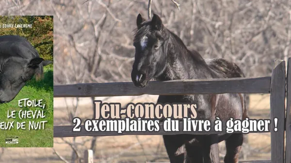 [Concours] "Etoile, le cheval aux yeux de nuit" : 2 livres à gagner ! - Résultats disponibles