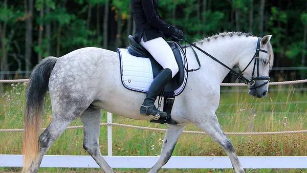Trotter assis : 5 exercices pour mieux réussir !
