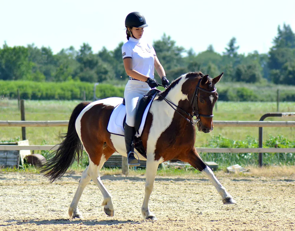Fanny et Quiera en concours de dressage