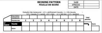Les juges utilisent une feuille de score pour pouvoir noter chaque figure exécutée par le couple en piste.