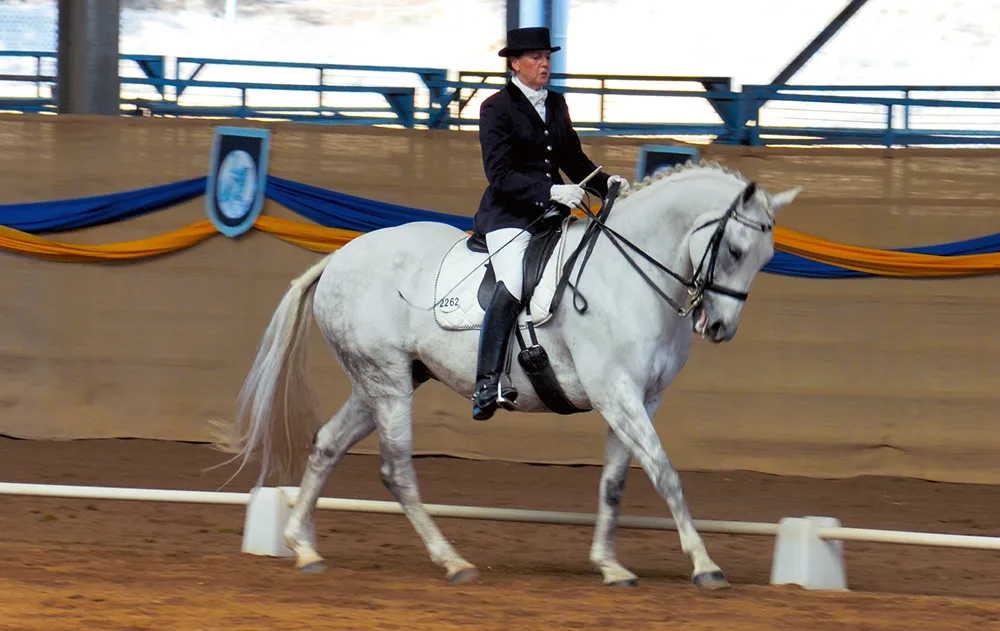 Une cadence régulière est particulièrement recherchée durant les épreuves de dressage.