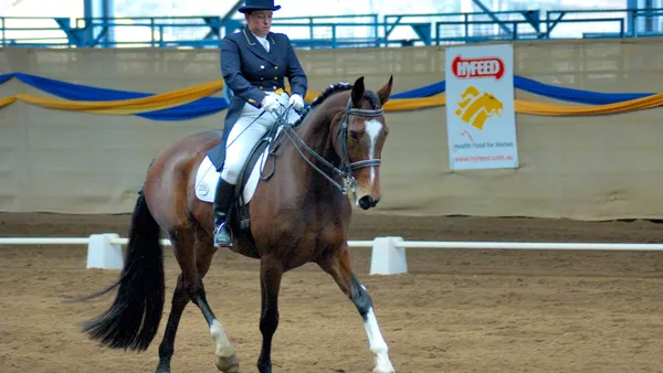 Corriger la dissymétrie naturelle du cheval